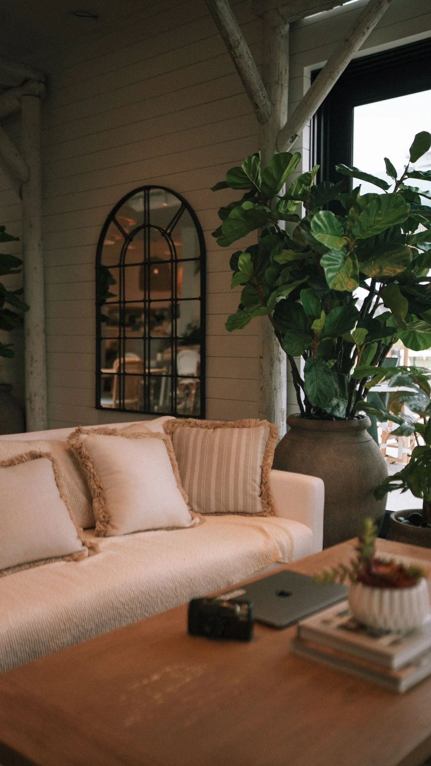A welcoming living room with plants and comfortable seating